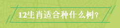 中国永利总站集团.png