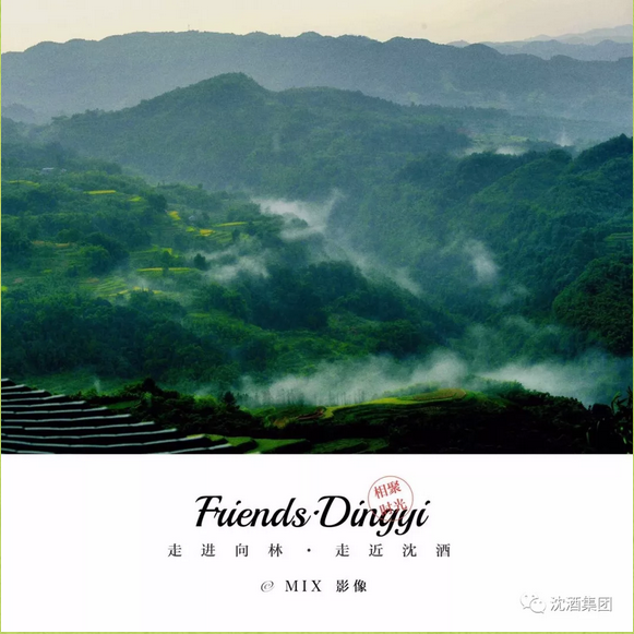 中国永利总站集团.png