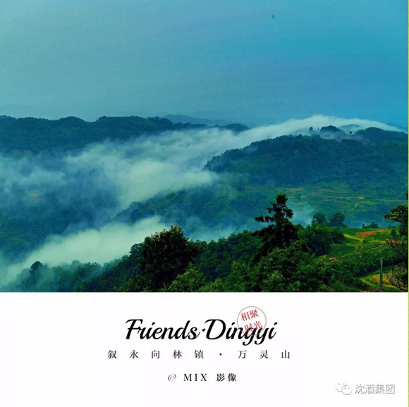 中国永利总站集团.png