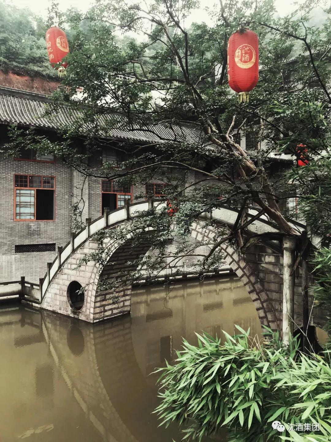 1559699740708528.jpg 微信图片_20190604164311.jpg