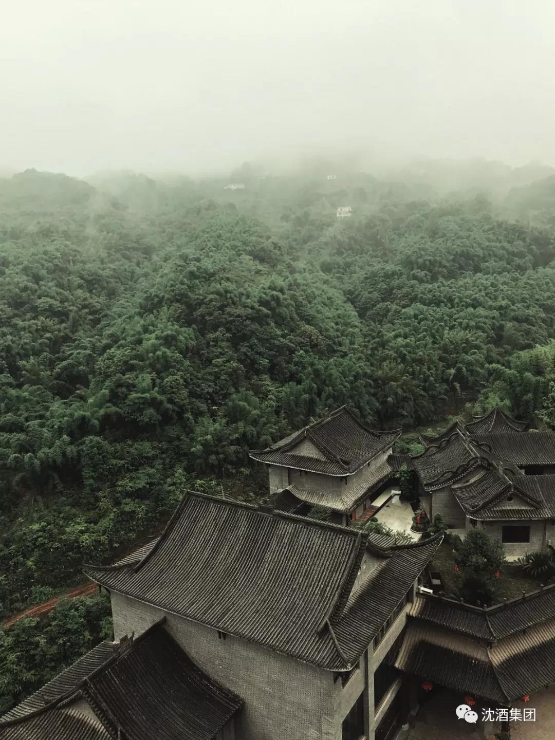 1559699787279036.jpg 微信图片_20190604164314.jpg