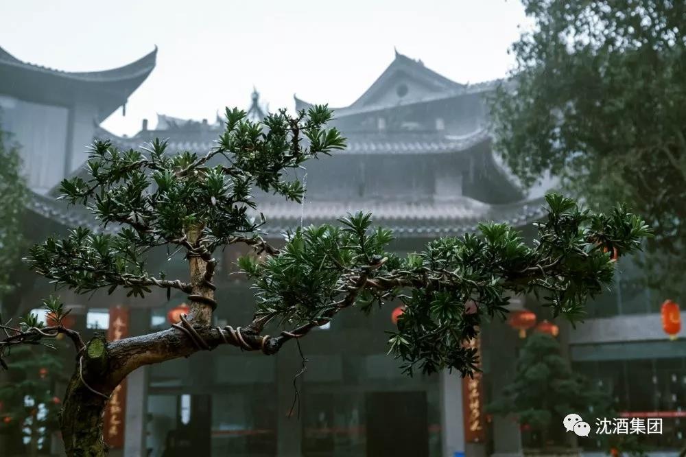 1562308367360701.jpg 微信图片_20190705142035.jpg