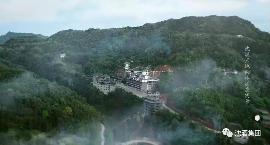 1563937844105237.jpg 微信图片_20190724110704.jpg